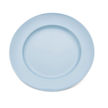 Polycarbonate Dinner Plate Wide Rim
