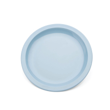 Polycarbonate Dinner Plate Narrow Rim